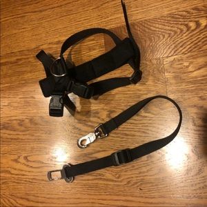 Dog seatbelt harness - small